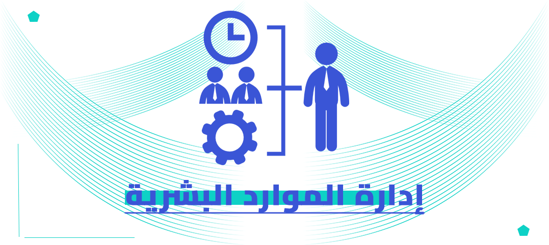الدكتوراه المهنية في إدارة الموارد البشرية